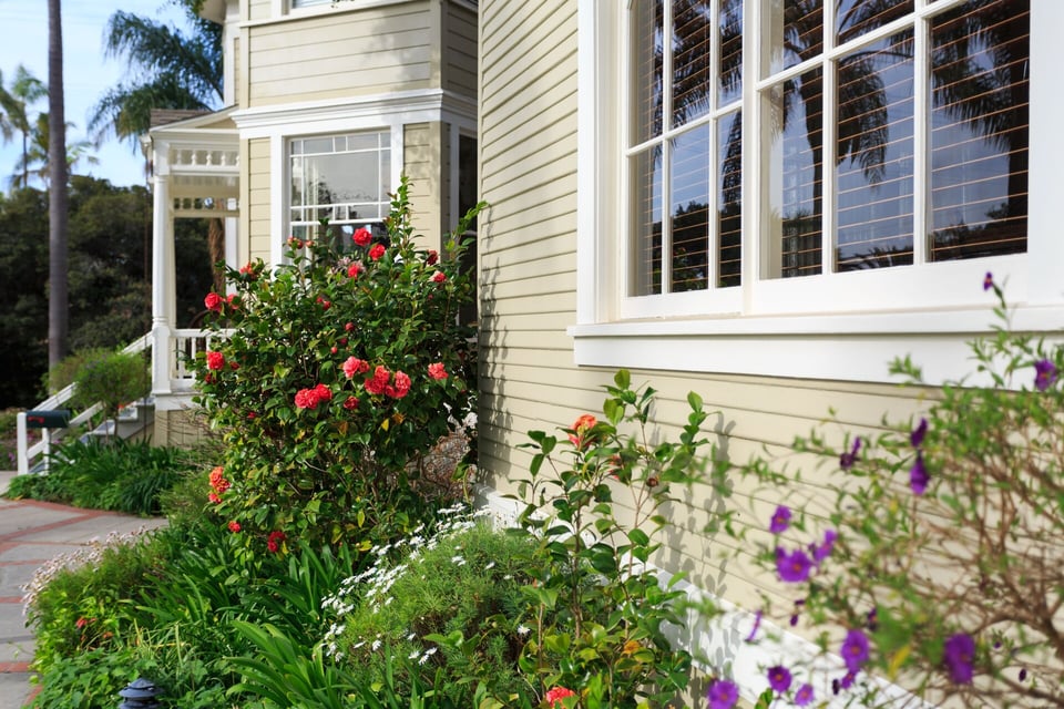 Cheshire Cat Inn & Cottages, how it began