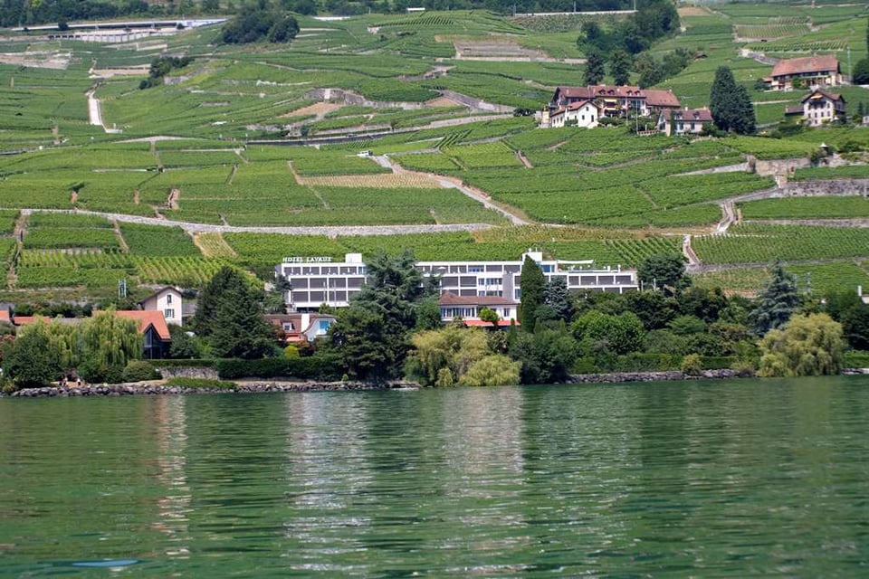Hôtel Lavaux, how it began
