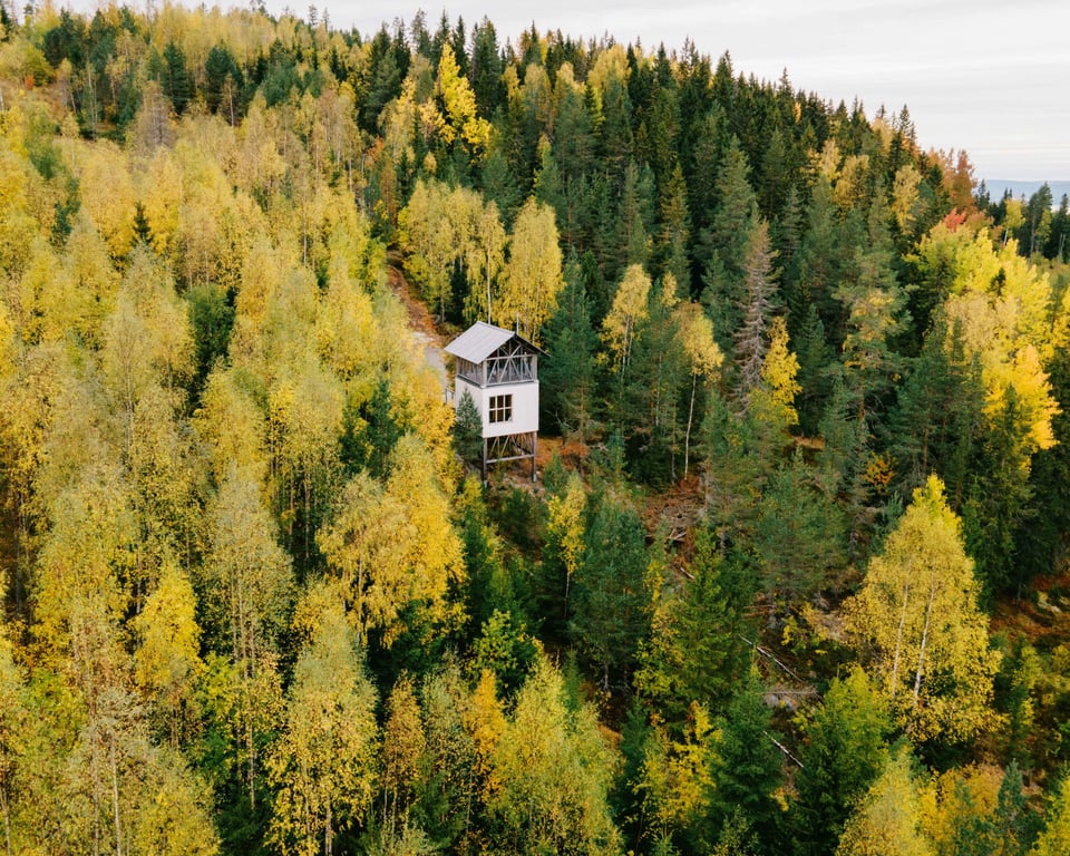 Bergaliv, how it began