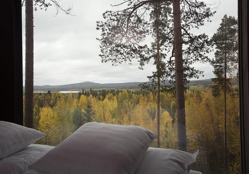 Tree Hotel