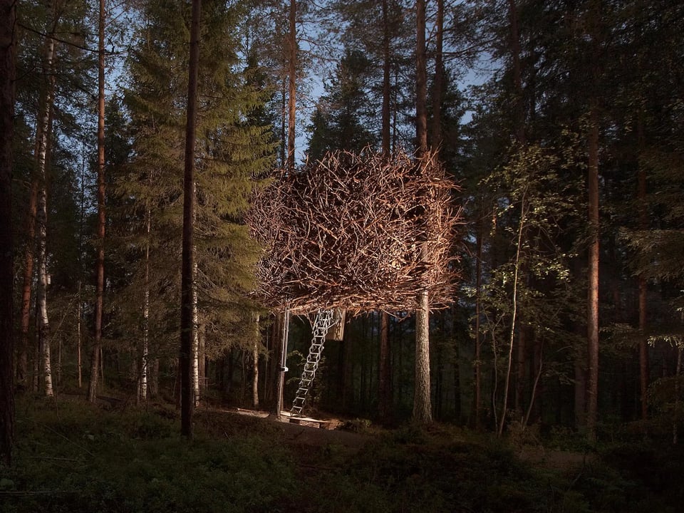 Tree Hotel, how it began