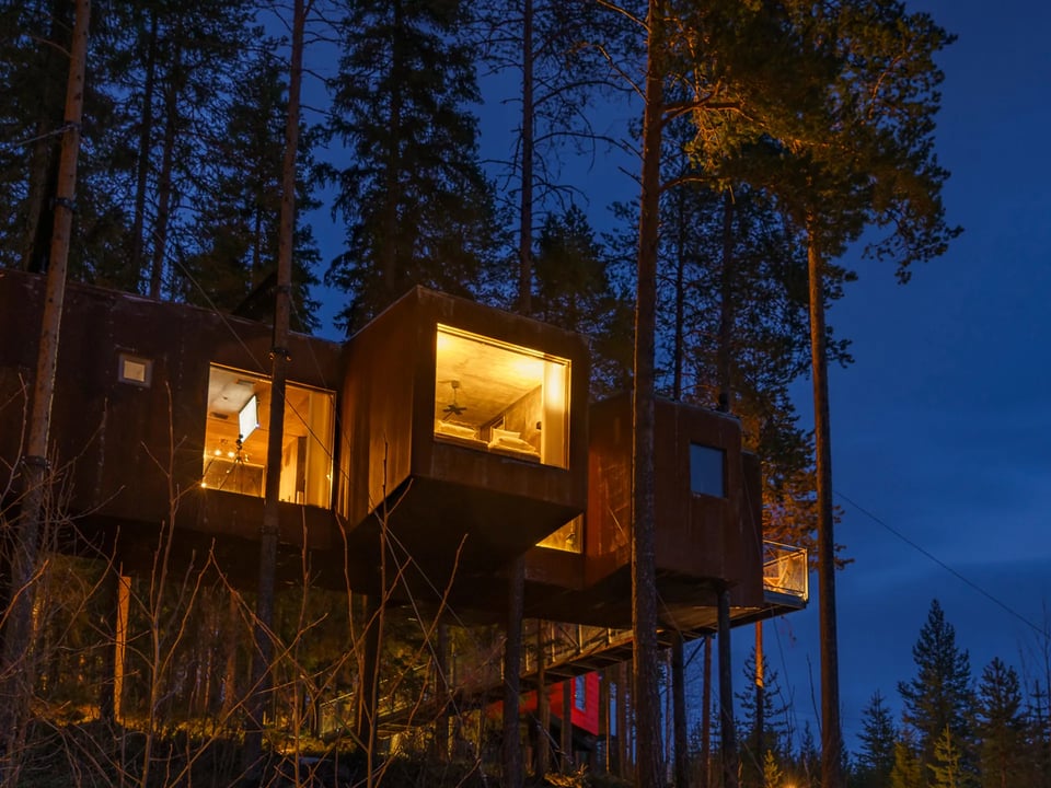 Tree Hotel, how it began