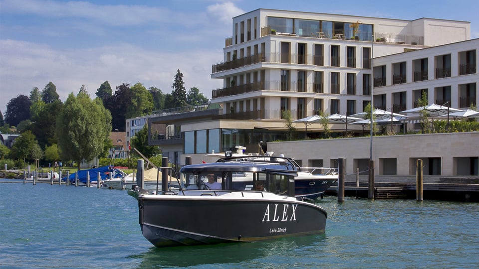 Alex Lake Zürich, how it began