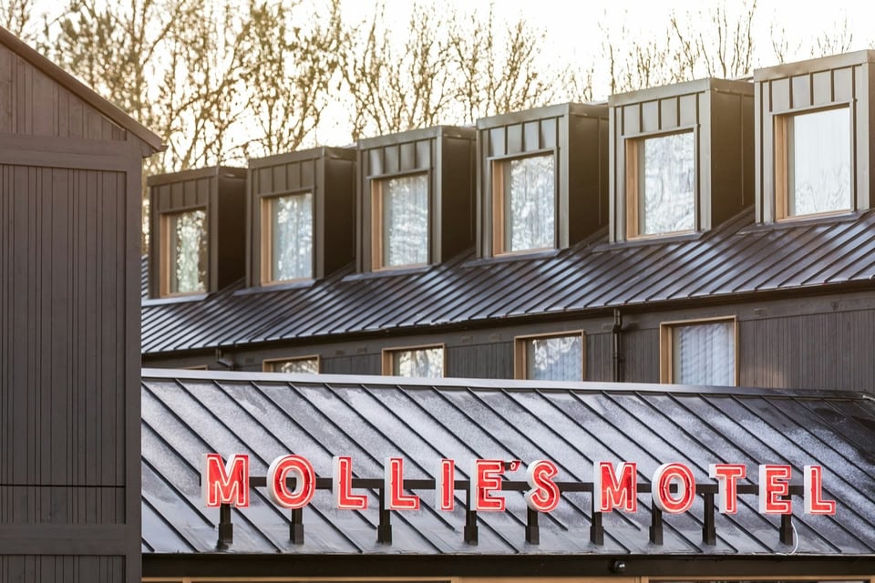 Mollie's Motel, Oxford, how it began