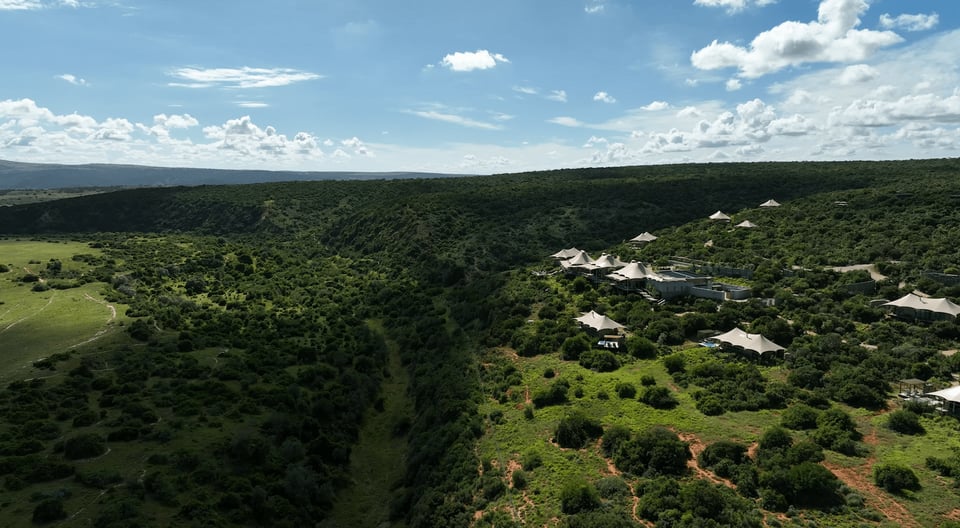 Shamwari Sindile, how it began