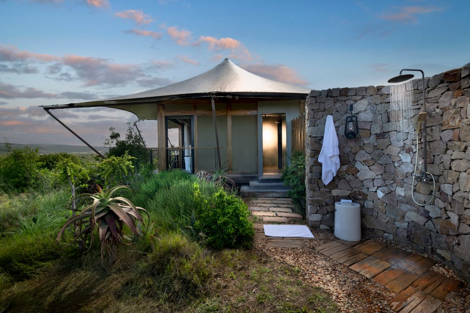 Shamwari Sindile, how it began