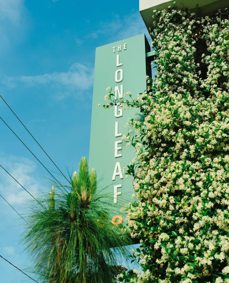 The Longleaf Hotel and Lounge, how it began