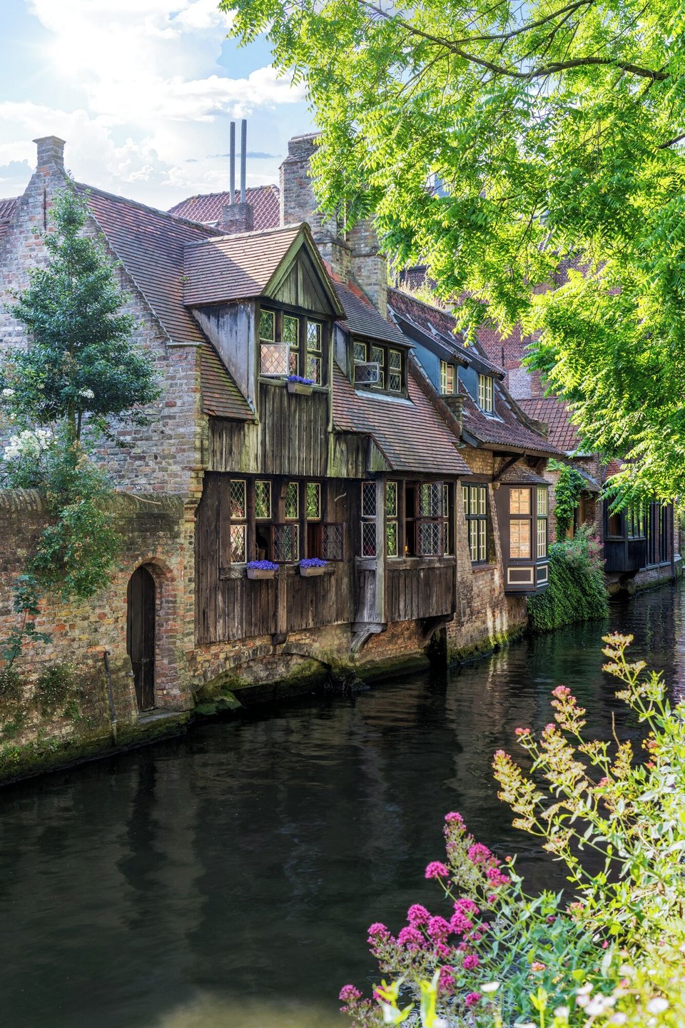 Hotel Bonifacius, how it began