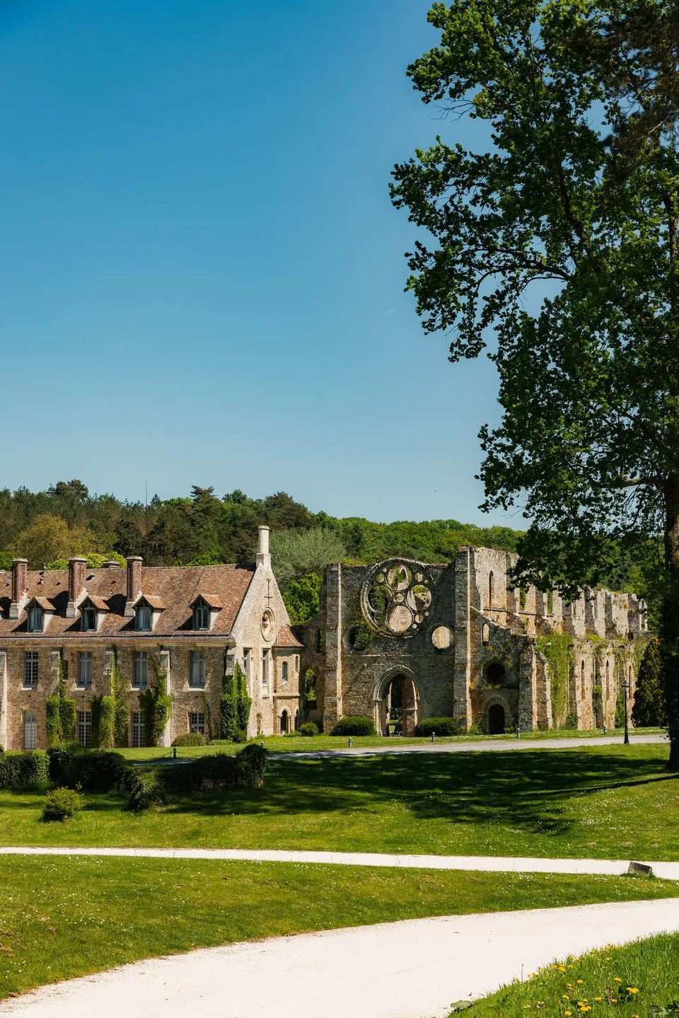 Abbaye des Vaux de Cernay, how it began