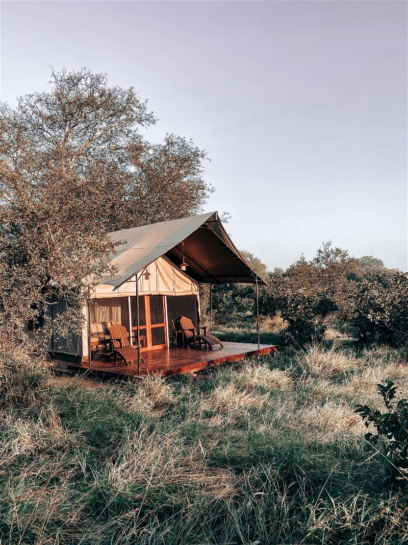 Honeyguide Khoka Moya Camp, how it began