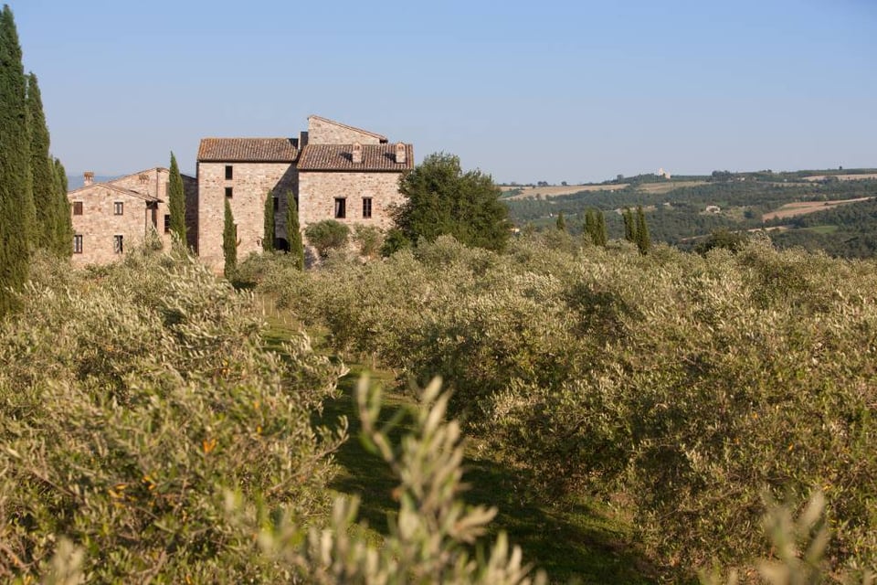 Tenuta Di Canonica, how it began