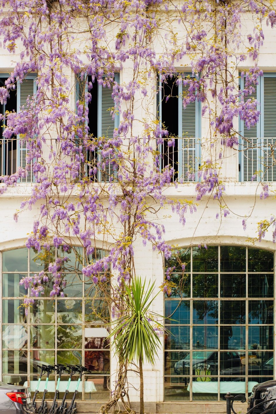 Rooms Batumi, how it began