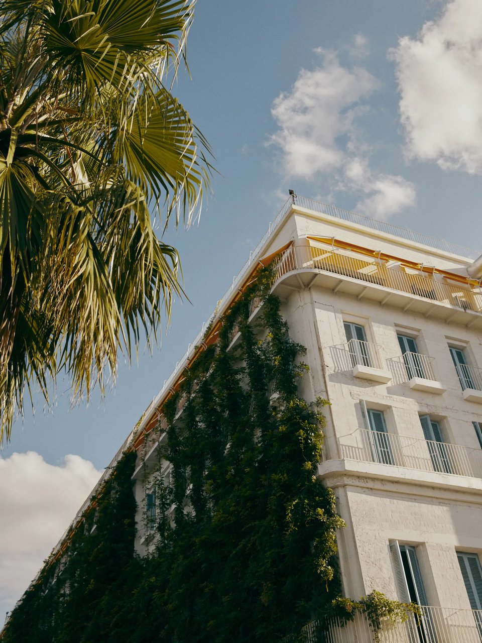 Rooms Batumi, how it began