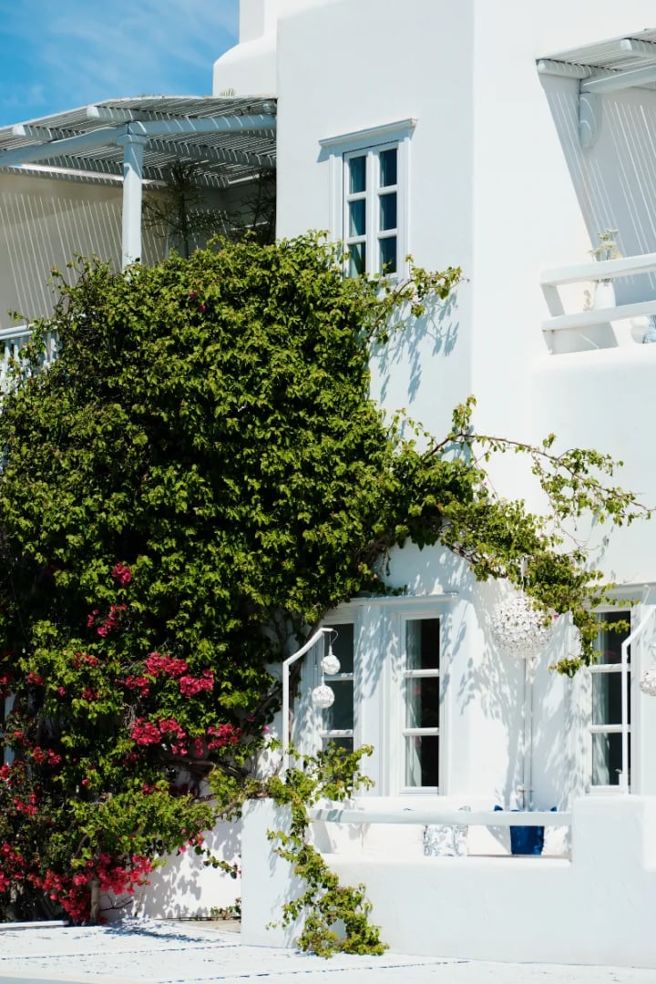 Belvedere Hotel Mykonos - The Leading Hotels of the World, how it began