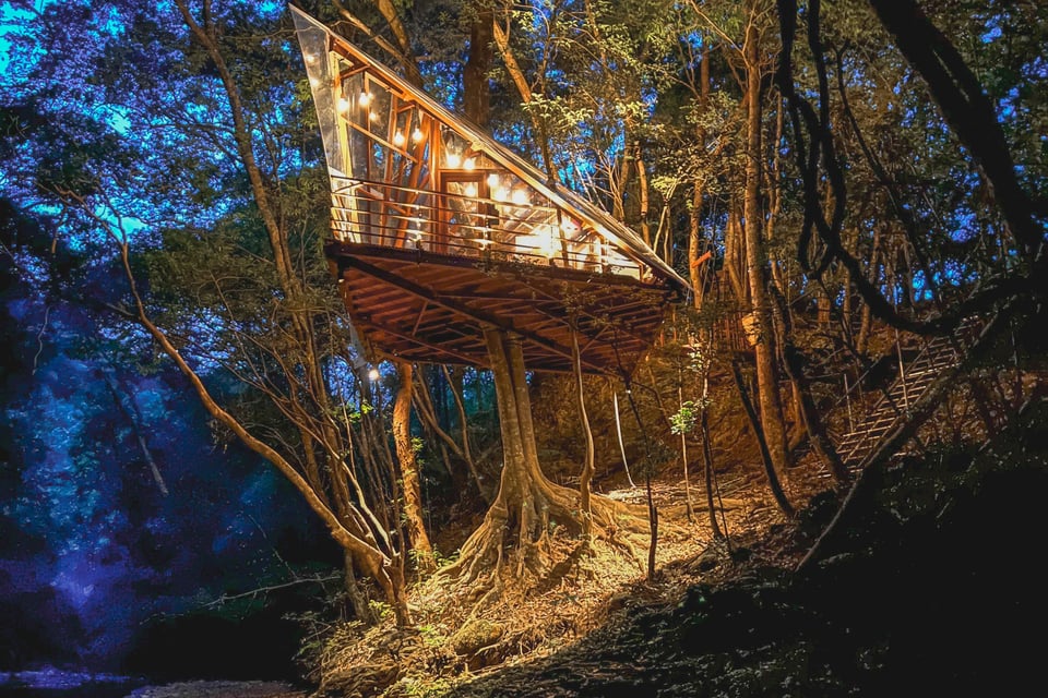 Treeful Treehouse, how it began