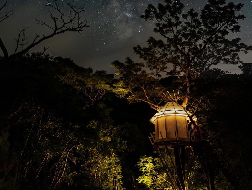 Treeful Treehouse, how it began