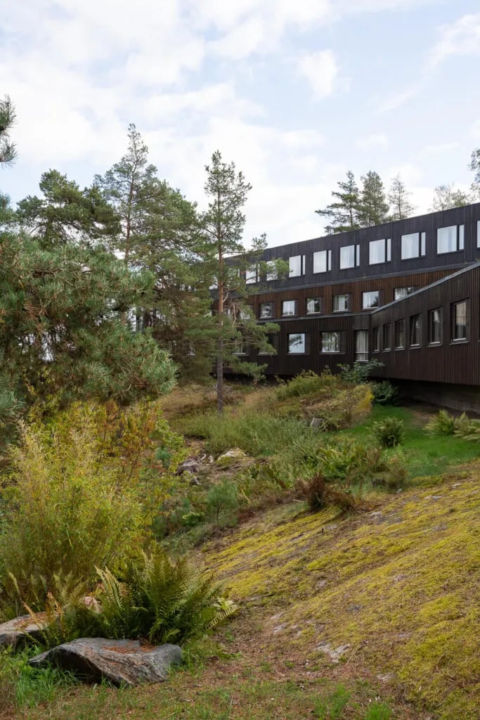 Yasuragi Spa Hotel, how it began