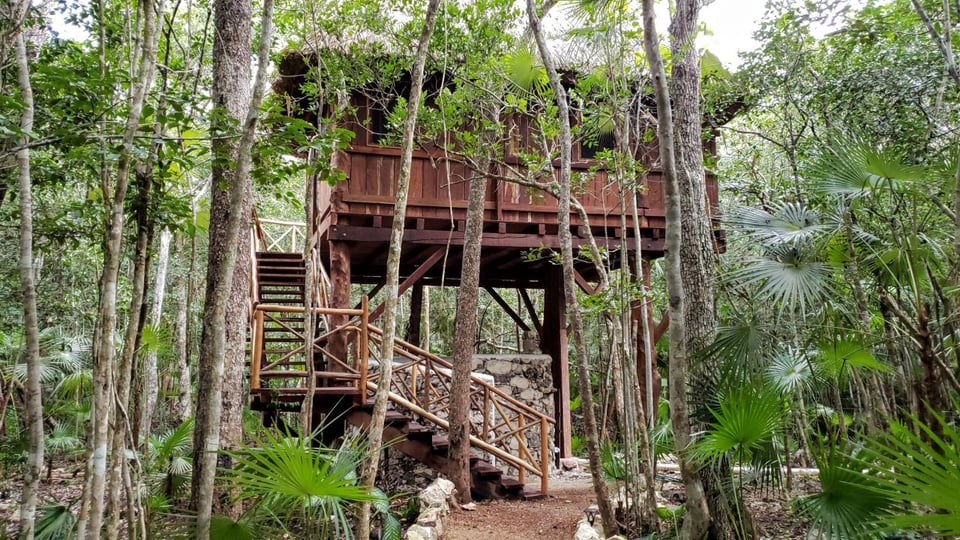 Ajal Tulum Tree Houses, how it began