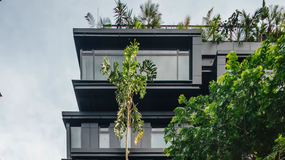 The Click Clack Hotel Medellín, how it began