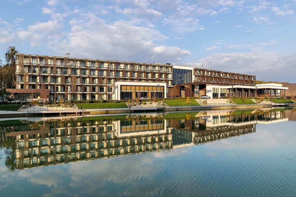 Emily Hotel, how it began