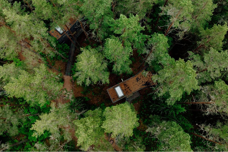 Trakt Forest Hotel, how it began