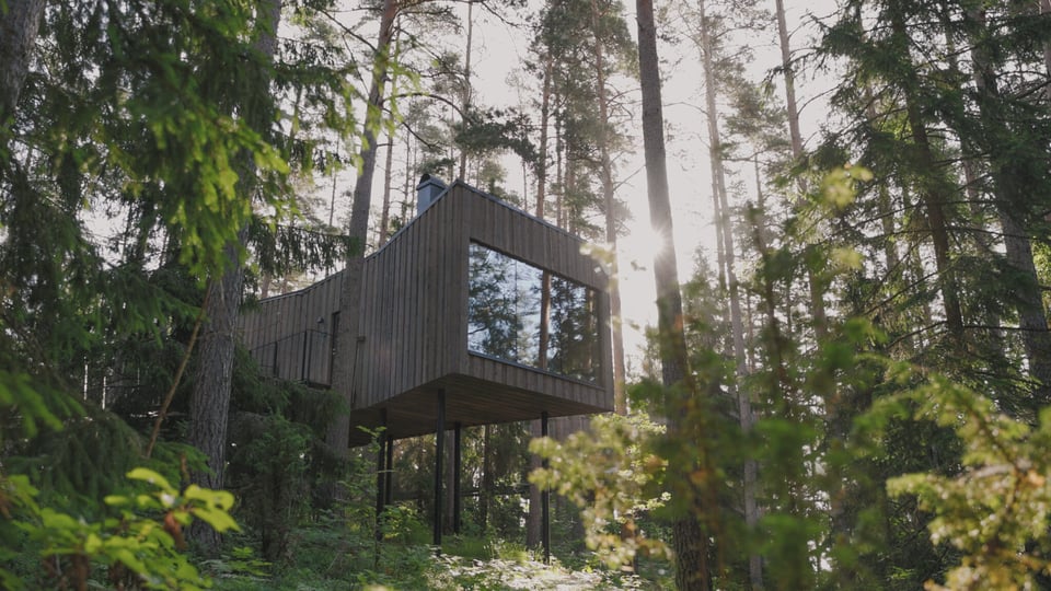 Trakt Forest Hotel, how it began