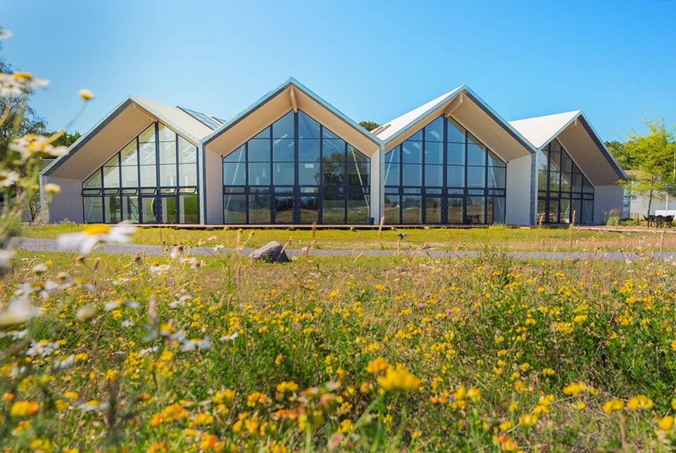 Green Solution House, how it began
