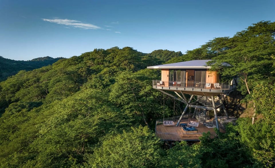 Suitree Experience Hotel, how it began