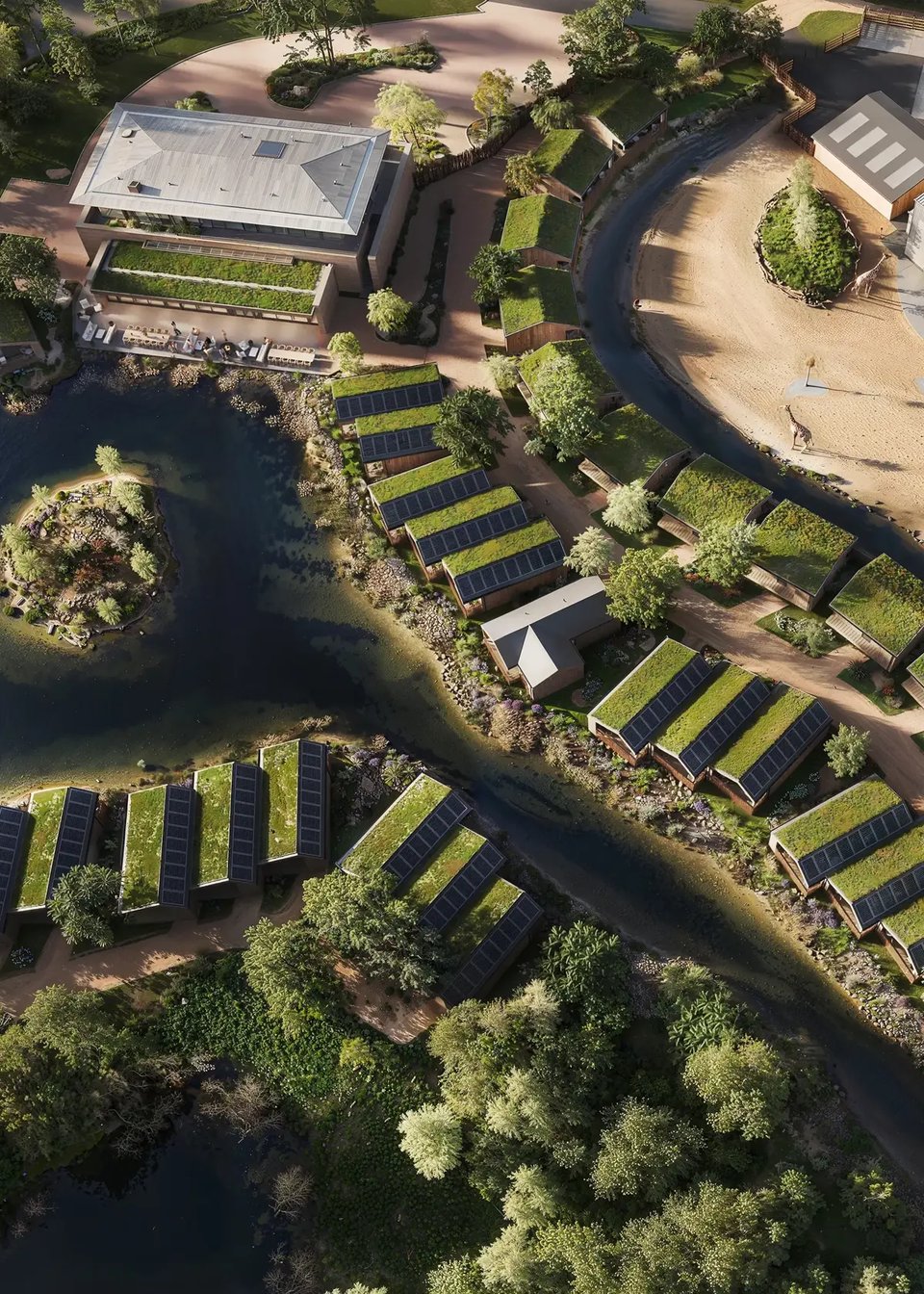 The Reserve at Chester Zoo, how it began