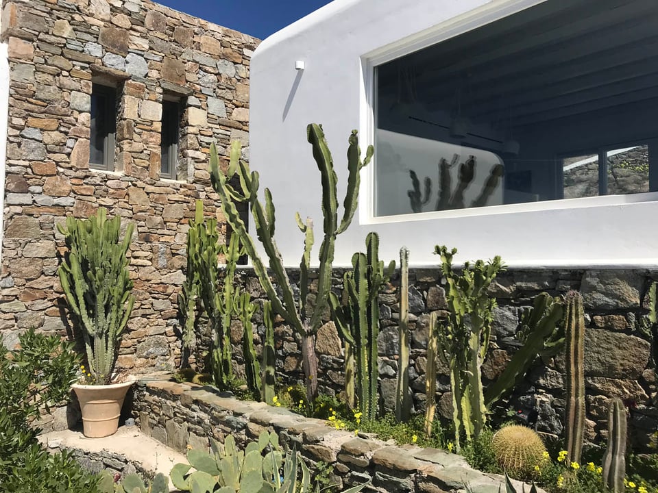 Ostraco Suites, how it began