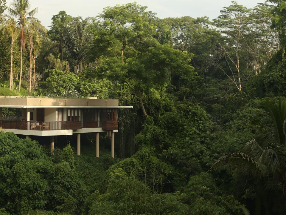 Alila Ubud, how it began