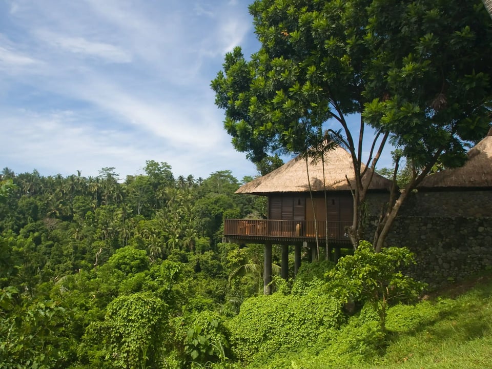 Alila Ubud, how it began
