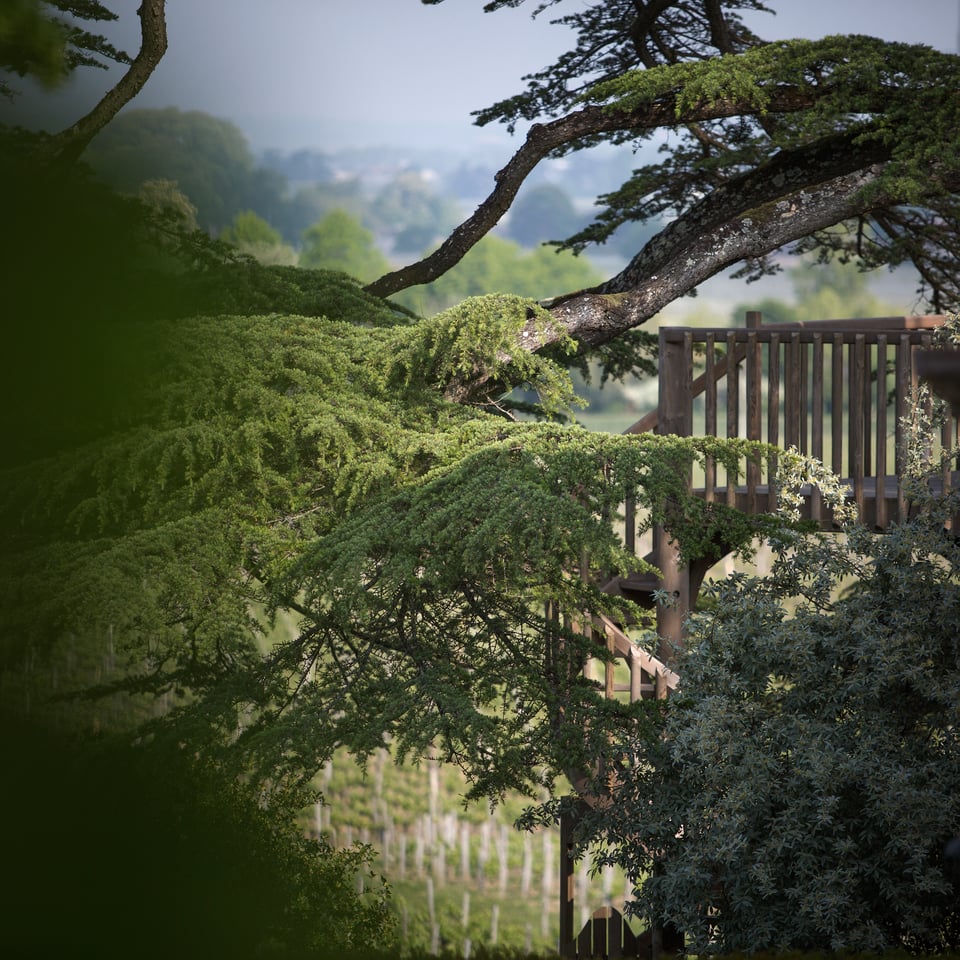 Le Relais Franc Mayne, how it began