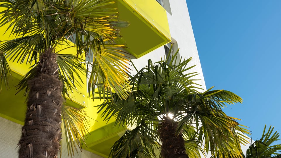 Semiramis Hotel, how it began