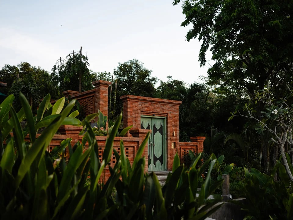 The Damai, how it began