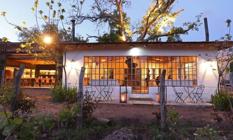 Finca Adalgisa, how it began