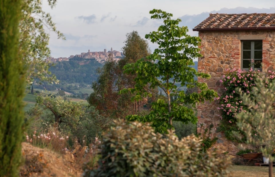 Follonico, how it began