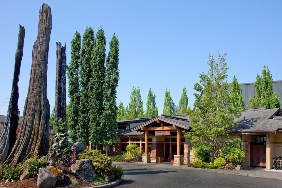 Willows Lodge, how it began
