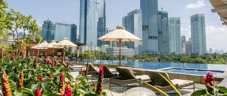 Discovery Primea