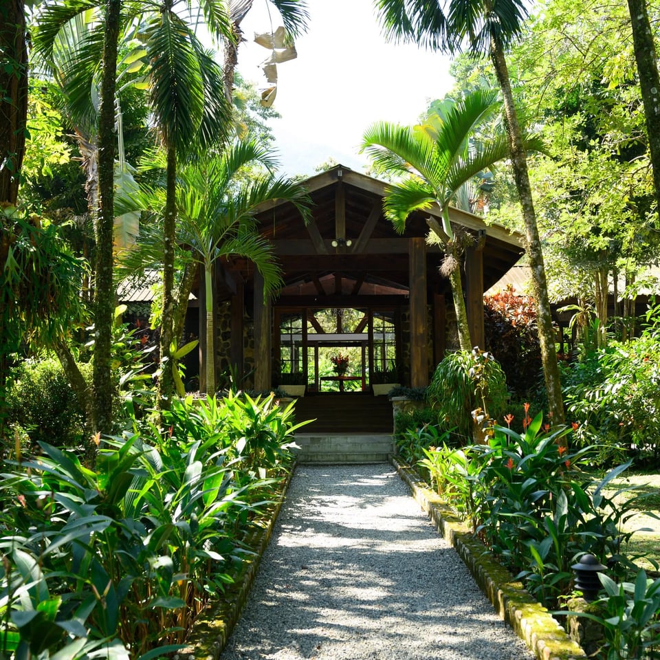 The Lodge at Pico Bonito ., how it began
