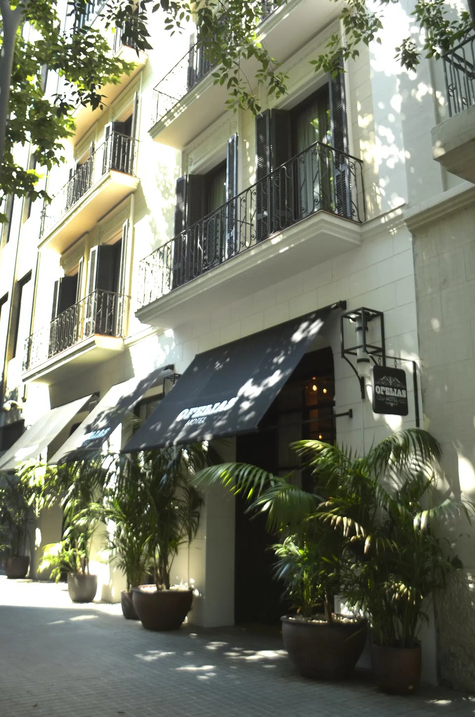 Ofelias Hotel, how it began