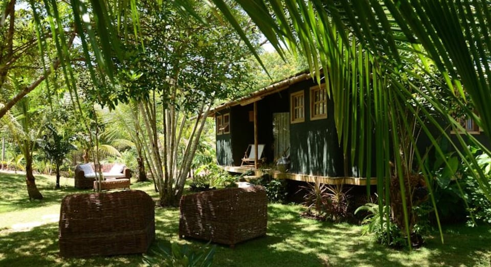 Butterfly House Bahia, how it began