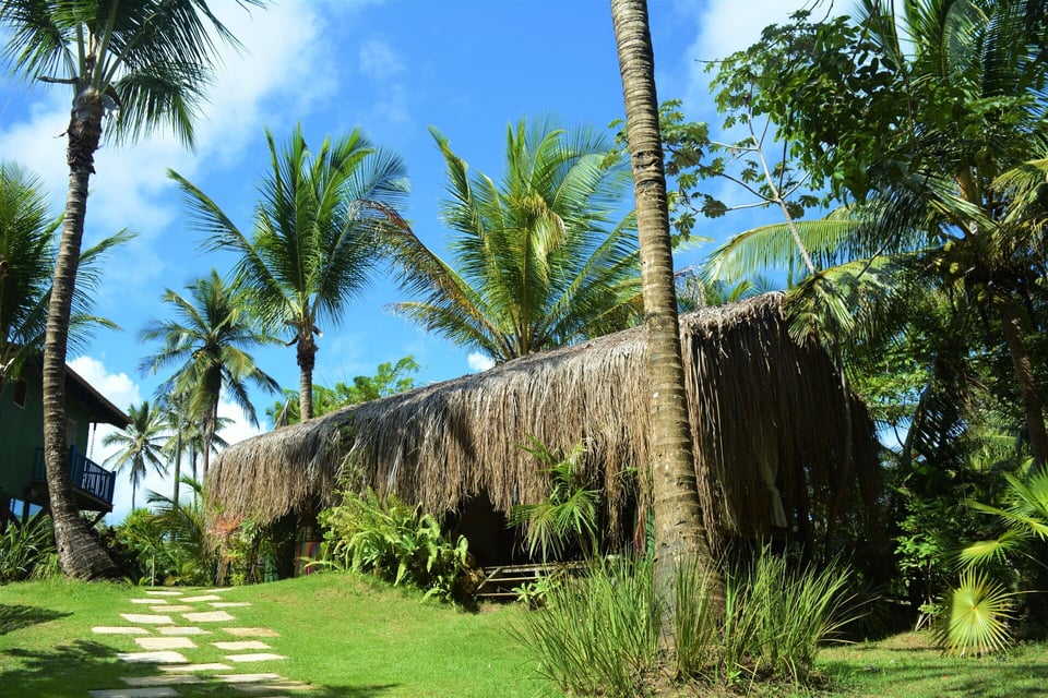 Butterfly House Bahia, how it began