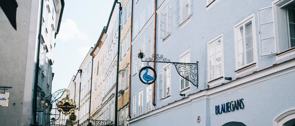 Arthotel Blaue Gans, how it began