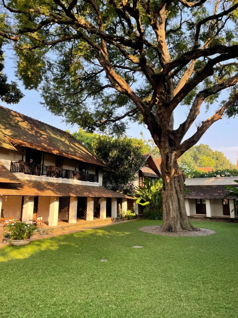 Tamarind Village, how it began