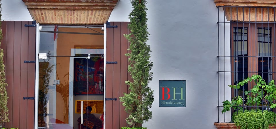 BILLINI HOTEL HISTORIC LUXURY, how it began