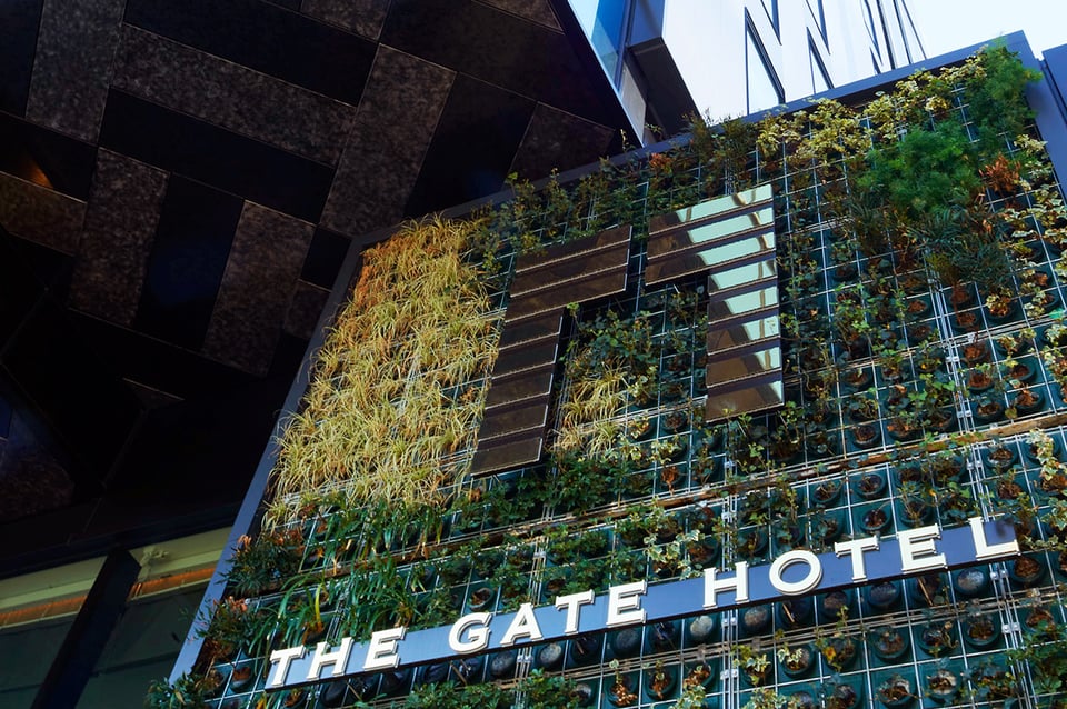 The Gate Hotel, how it began