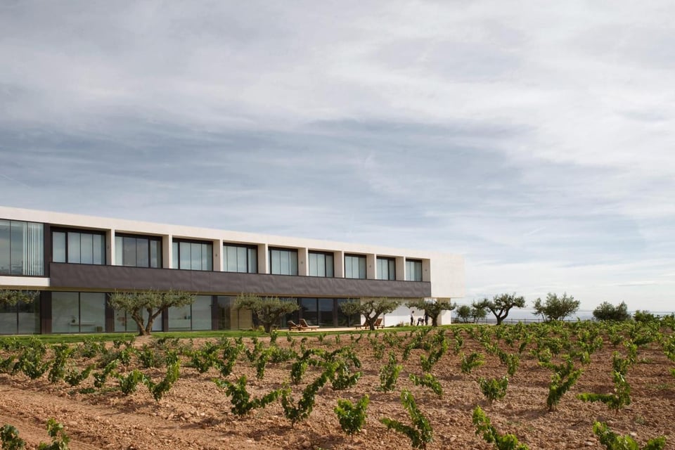 Finca de los Arandinos Bodega | Hotel