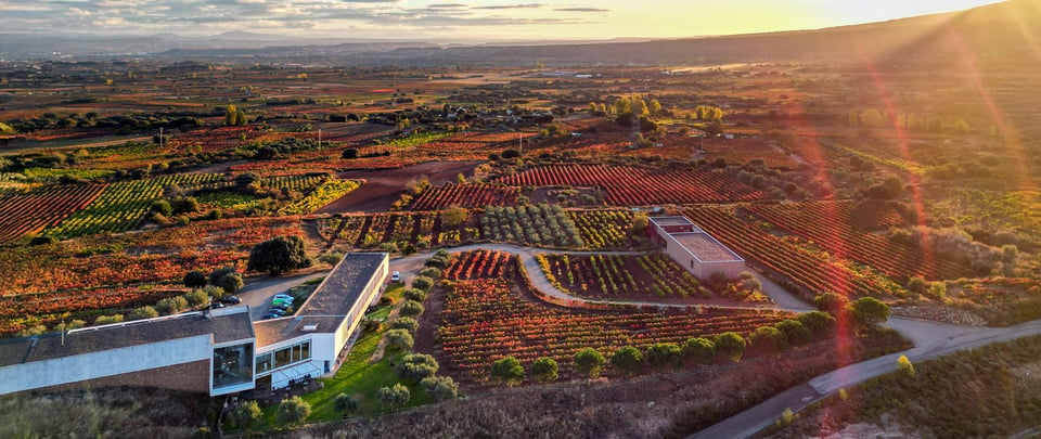 Finca de los Arandinos Bodega | Hotel, how it began