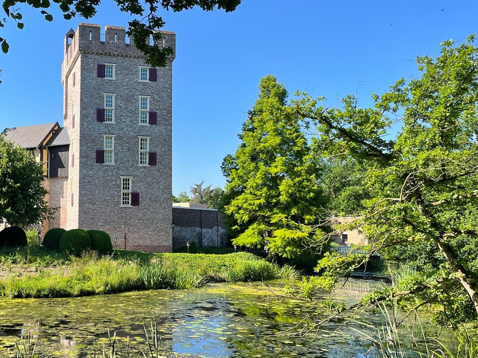 Daelenbroeck Castle, how it began